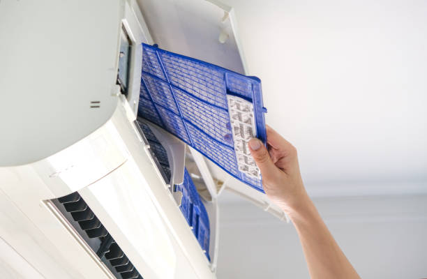 Best Air Duct Mold Removal  in North Sioux City, SD